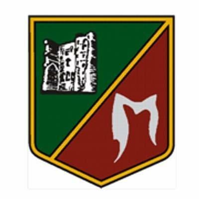 A shield with a castle and the letter m on it