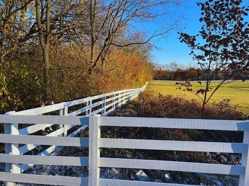 White wooden fence leads through autumn trees to a sunny green field under a blue sky.