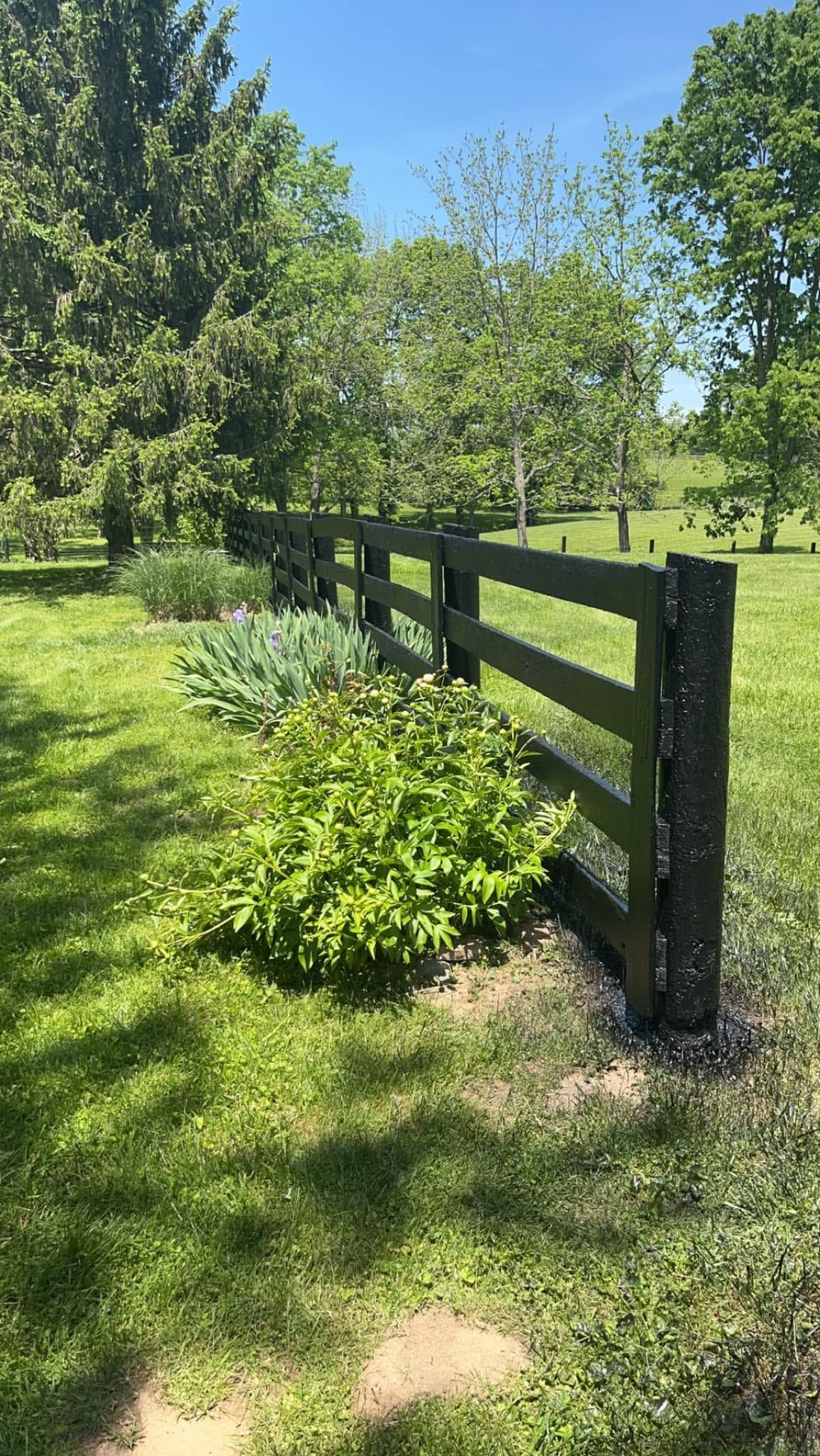 Black wooden fence curving through a sunny green meadow with trees under a clear blue sky
