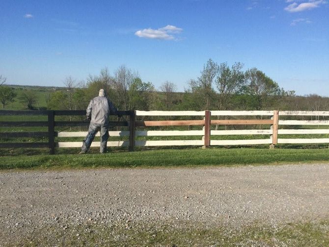 Person standing by a black-and-white fence in a grassy field under a clear blue sky