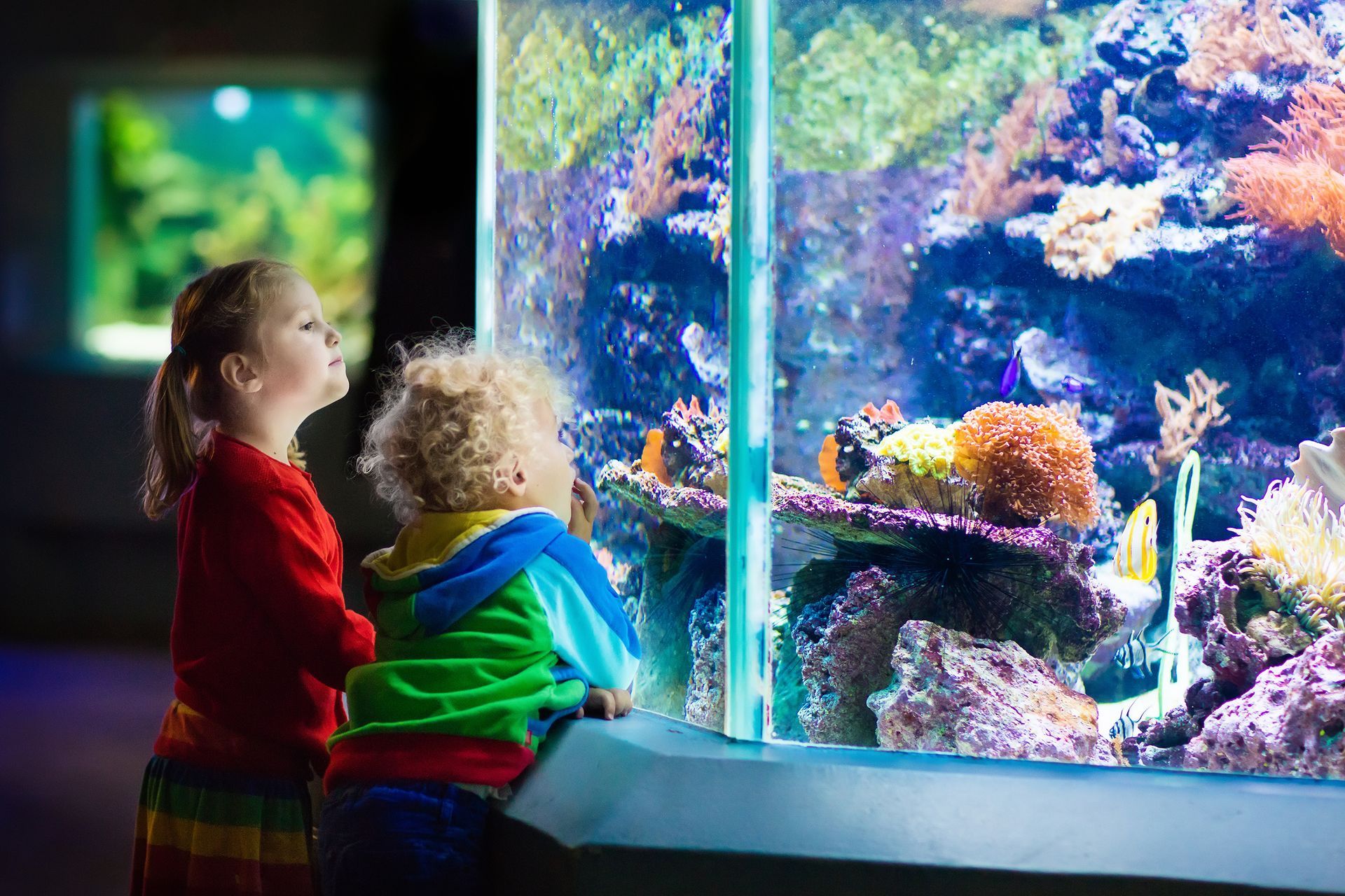 Two children lean over a glass aquarium, watching colorful coral and fish inside.