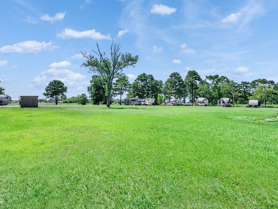 Wide green field with scattered trees under a bright blue sky with clouds.