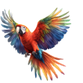 Colorful parrot in flight with wings spread, showing red, blue, green, and yellow feathers.