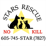 STARS NO KILL Logo