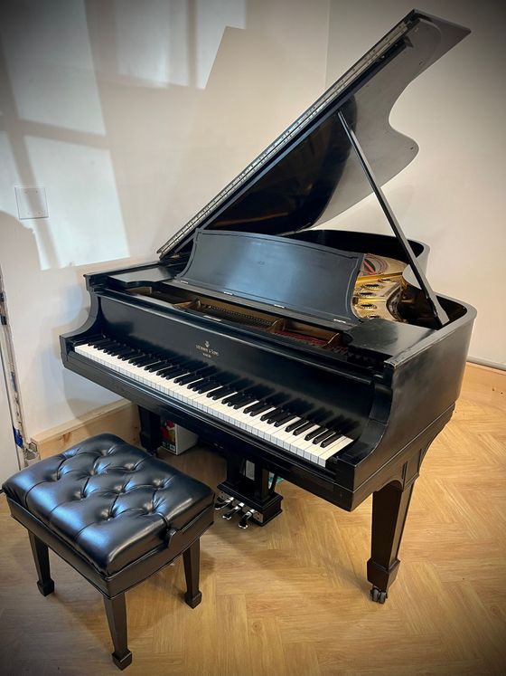 Black grand piano with matching tufted bench in a room with hardwood floors.