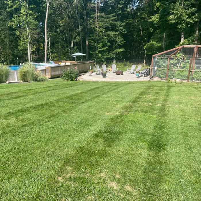 Clean Lawn — Pine Bush, NY — LeRoy’s Lawn Care