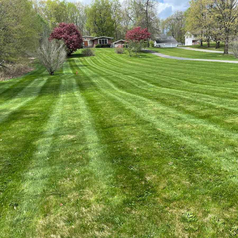 Wide Lawn — Pine Bush, NY — LeRoy’s Lawn Care