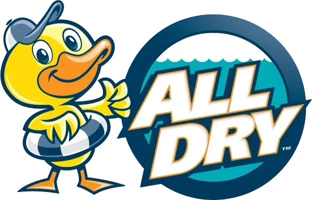 All Dry Services Of Chattanooga