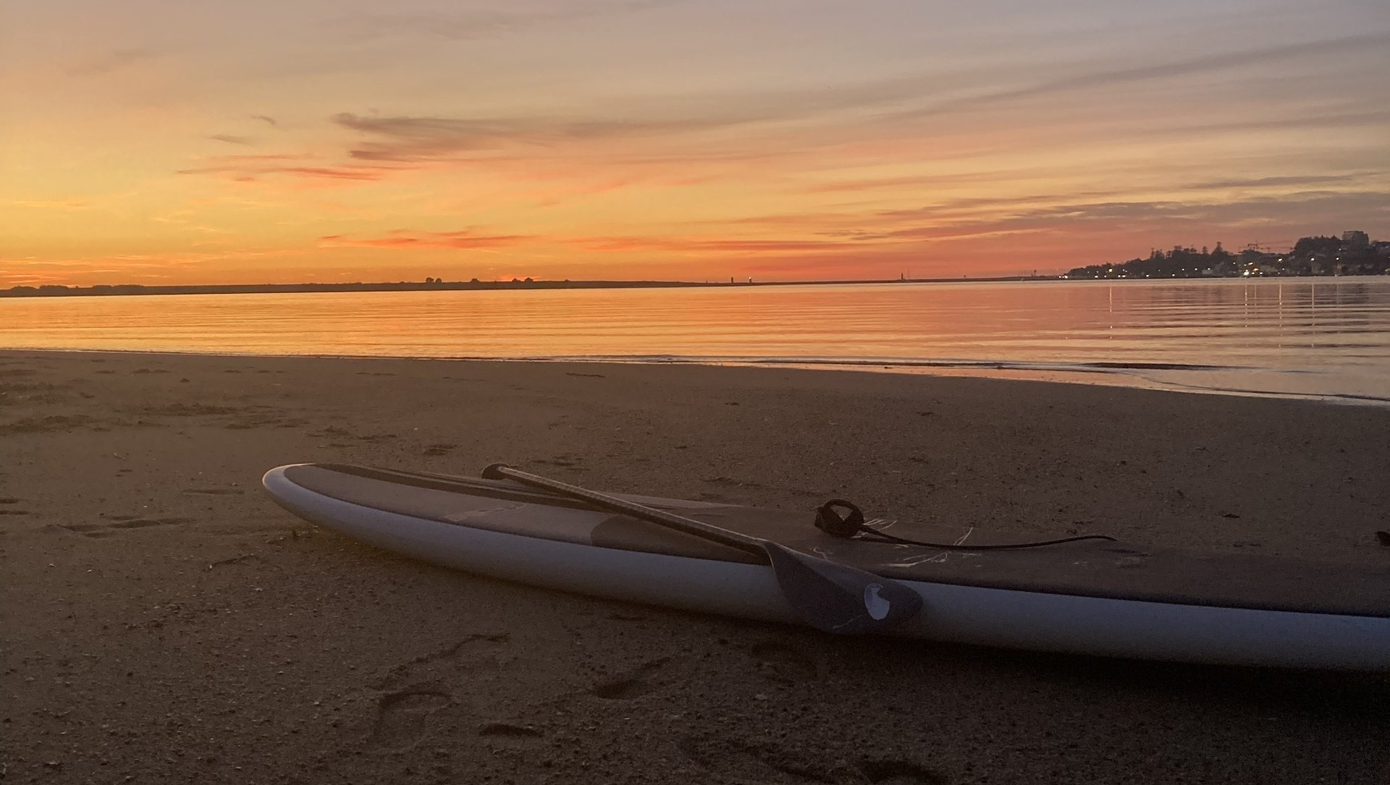 surf rentals