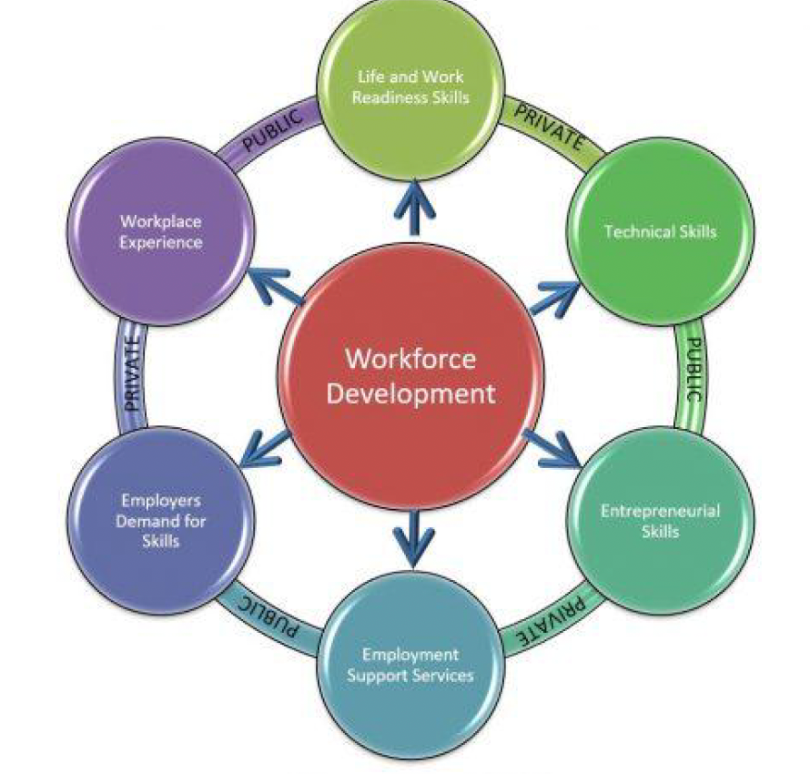A diagram showing the different types of workforce development