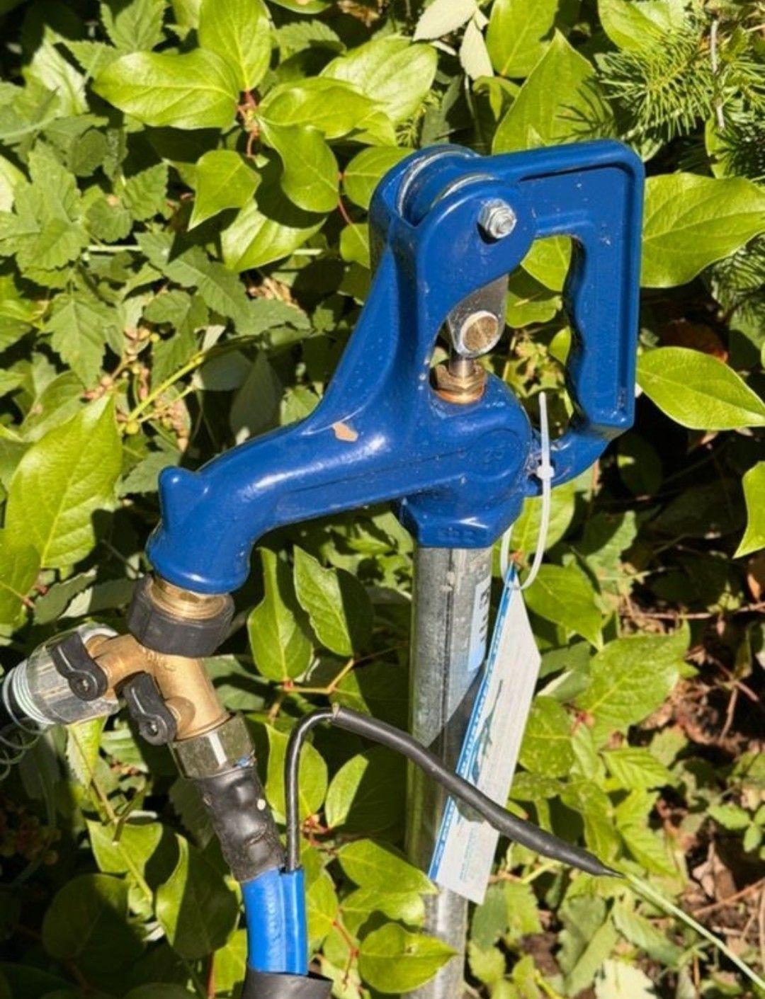 Blue outdoor water pump against green foliage, with hoses attached and a metal lever visible