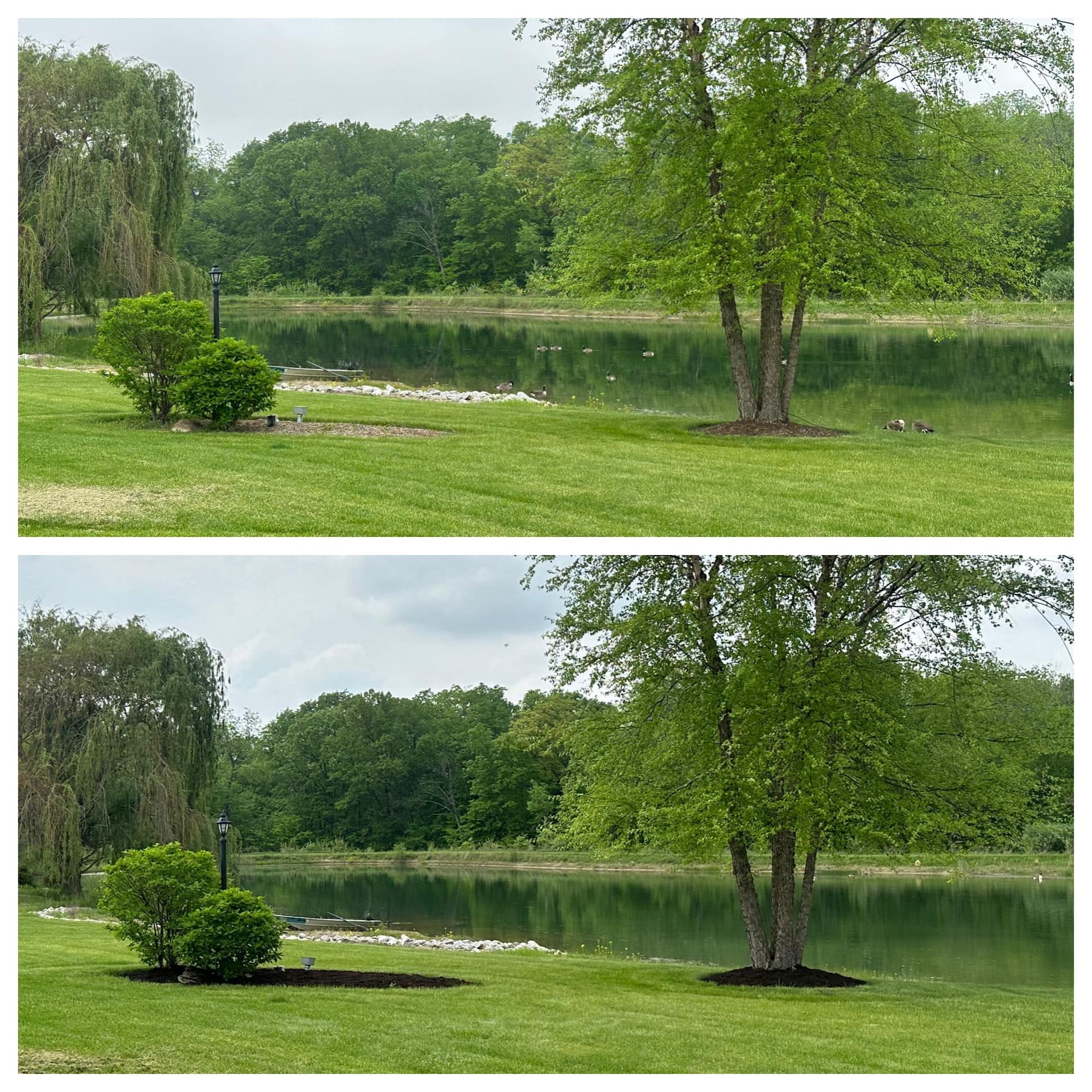 Landscape Project Gallery | Champaign, IL | Green Light