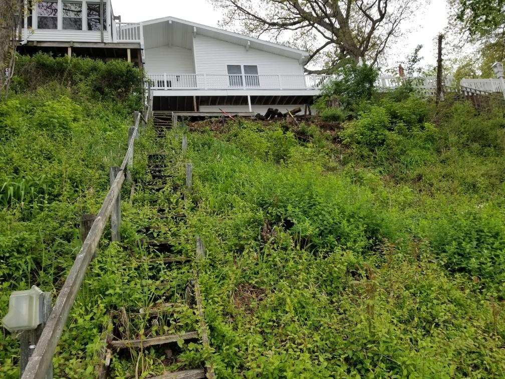 Embankment Before — Champaign, IL — Green Light Landscaping 
