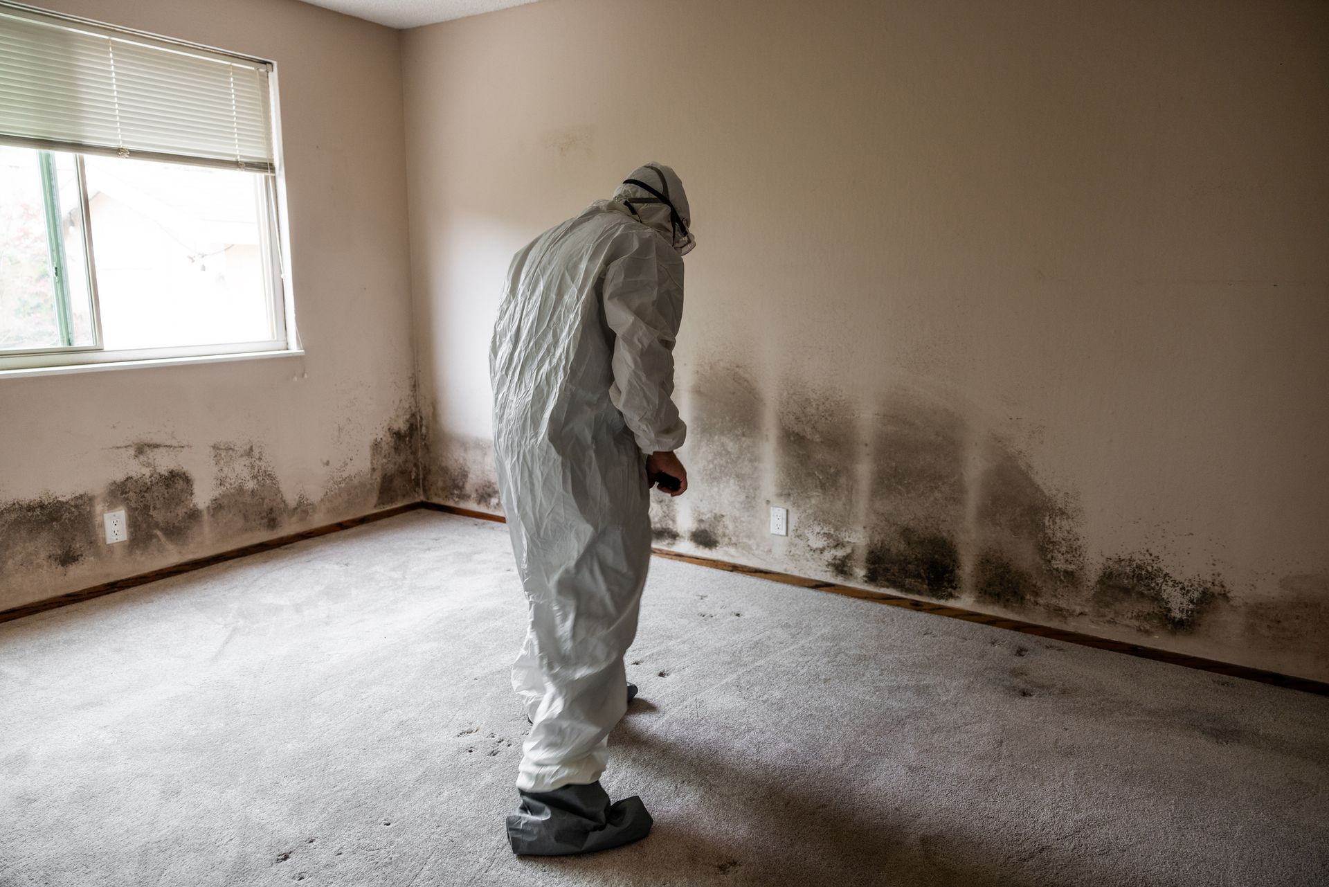 A man in a protective suit is standing in a room with mold on the walls.