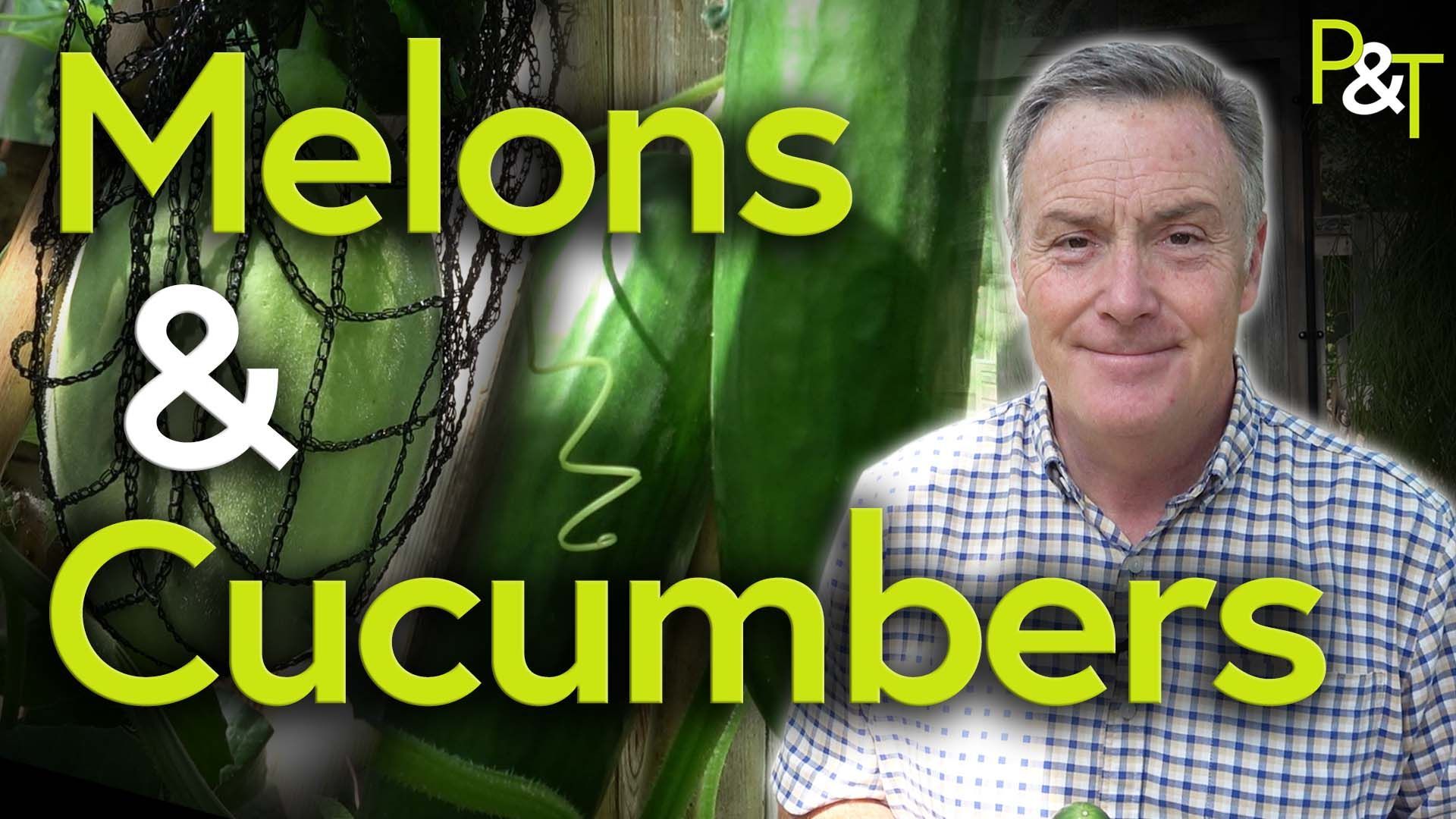 YouTube thumbnail image displaying gardener Martin Fish on the right with the text 