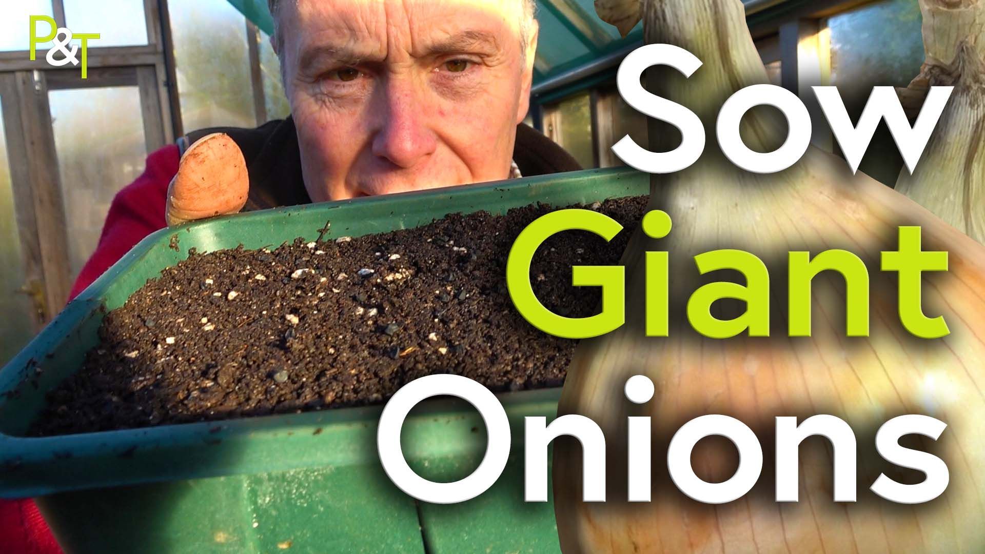 Martin peers across a seed tray and the text 