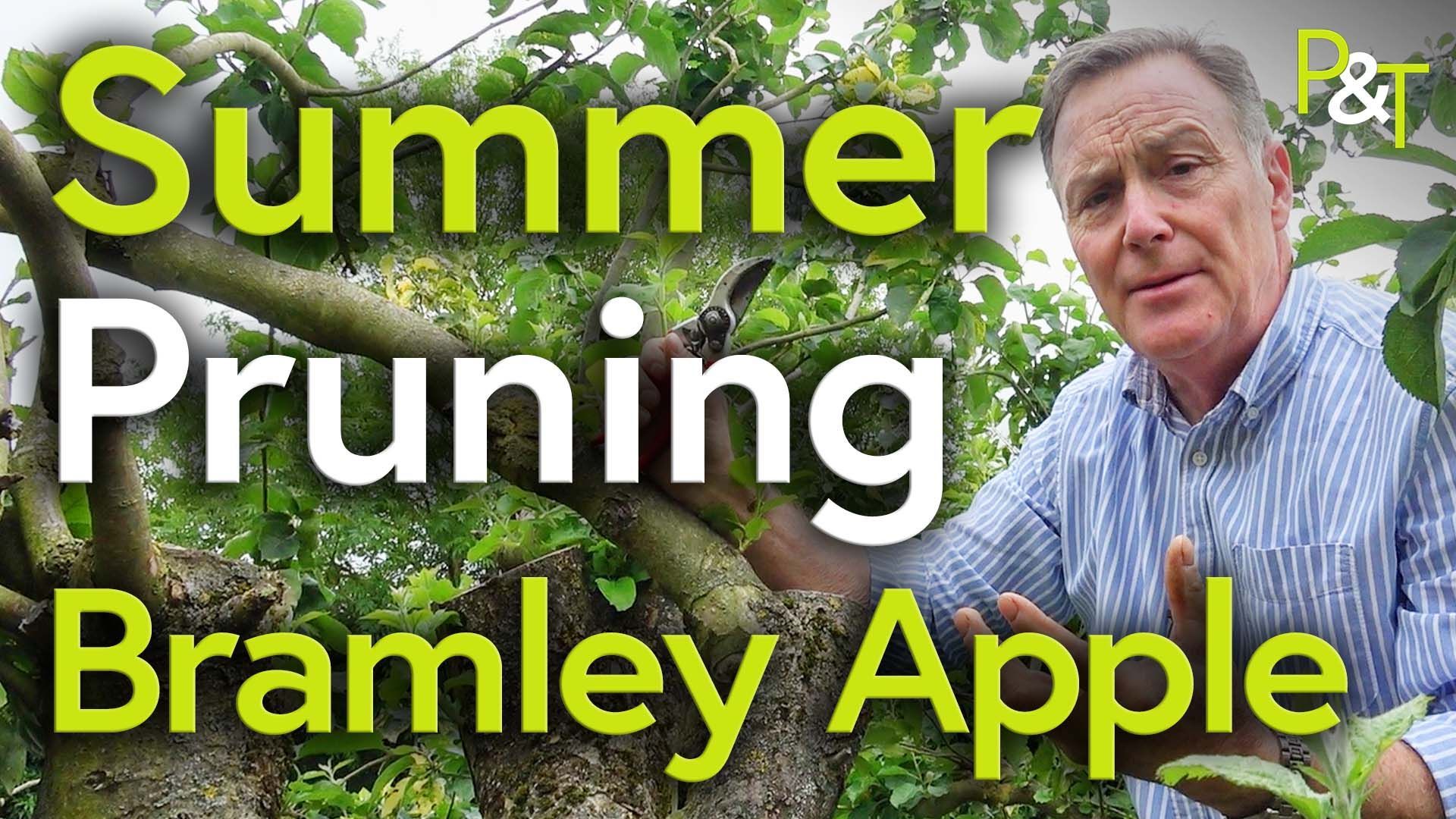 Martin Fish on the right stands in front of a large old bramley apple tree holding his secateurs. The text Summer Pruning Bramley Apple in green and white
