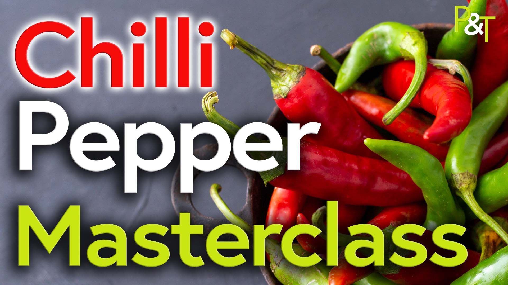closeup of a bowl of bright red chilli peppers with green stalks. the text chilli pepper masterclass in red white and green.