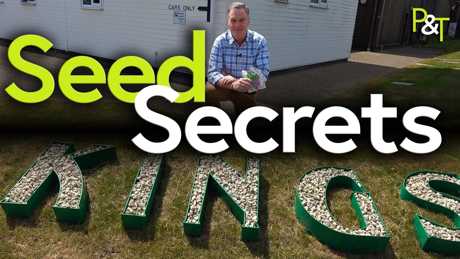 Martin kneels in front of a sign saying Kings and the text Seed Secrets in green and white over the top. 