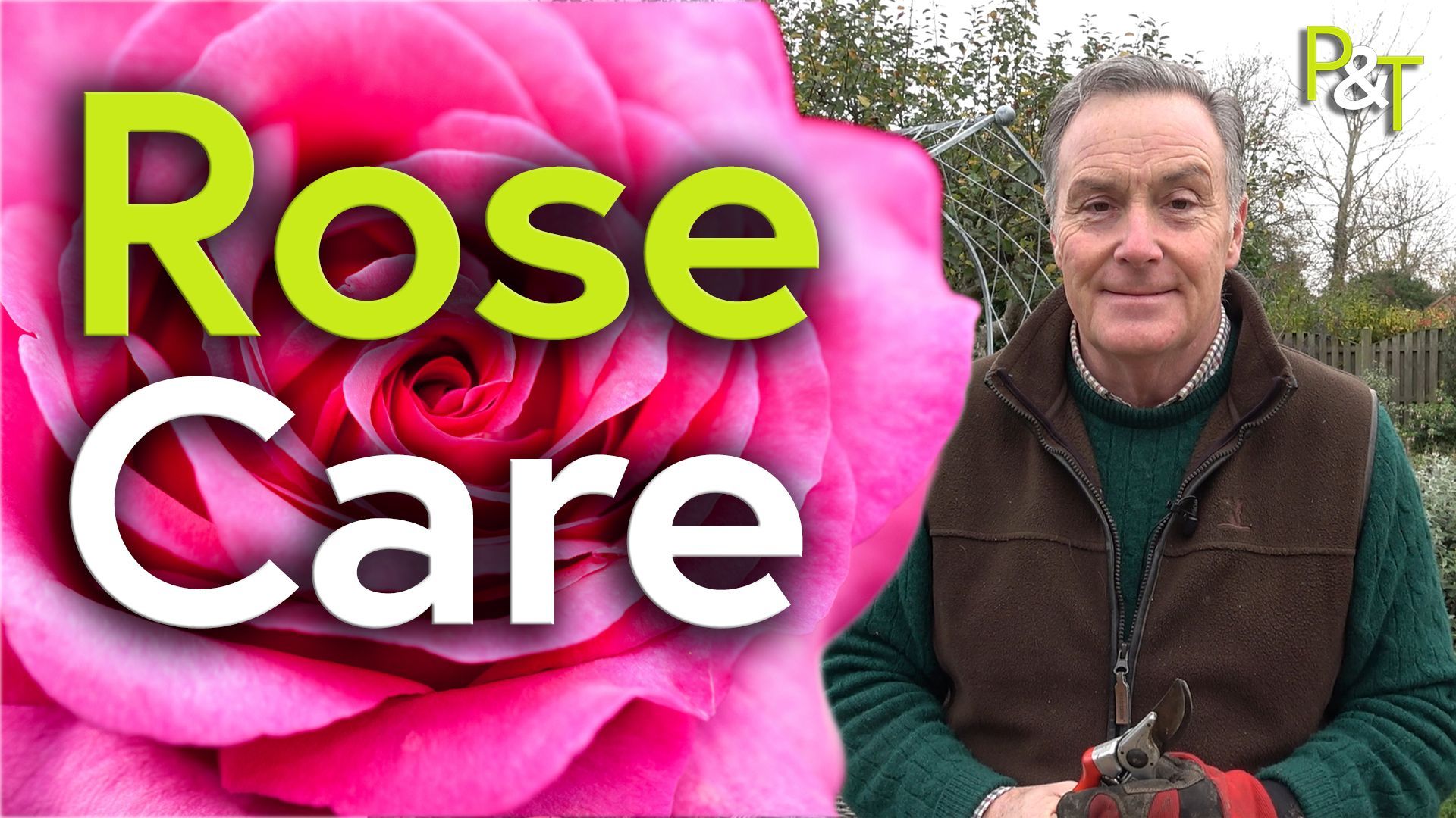 Closeup of a pink rose flower on the left of the image with a head and shoulders shot of Martin Fish on the right - Martin is dressed for the Autumn and has a pair od secateurs in his hand. The large text Rose Care in green and white over the pink rose.