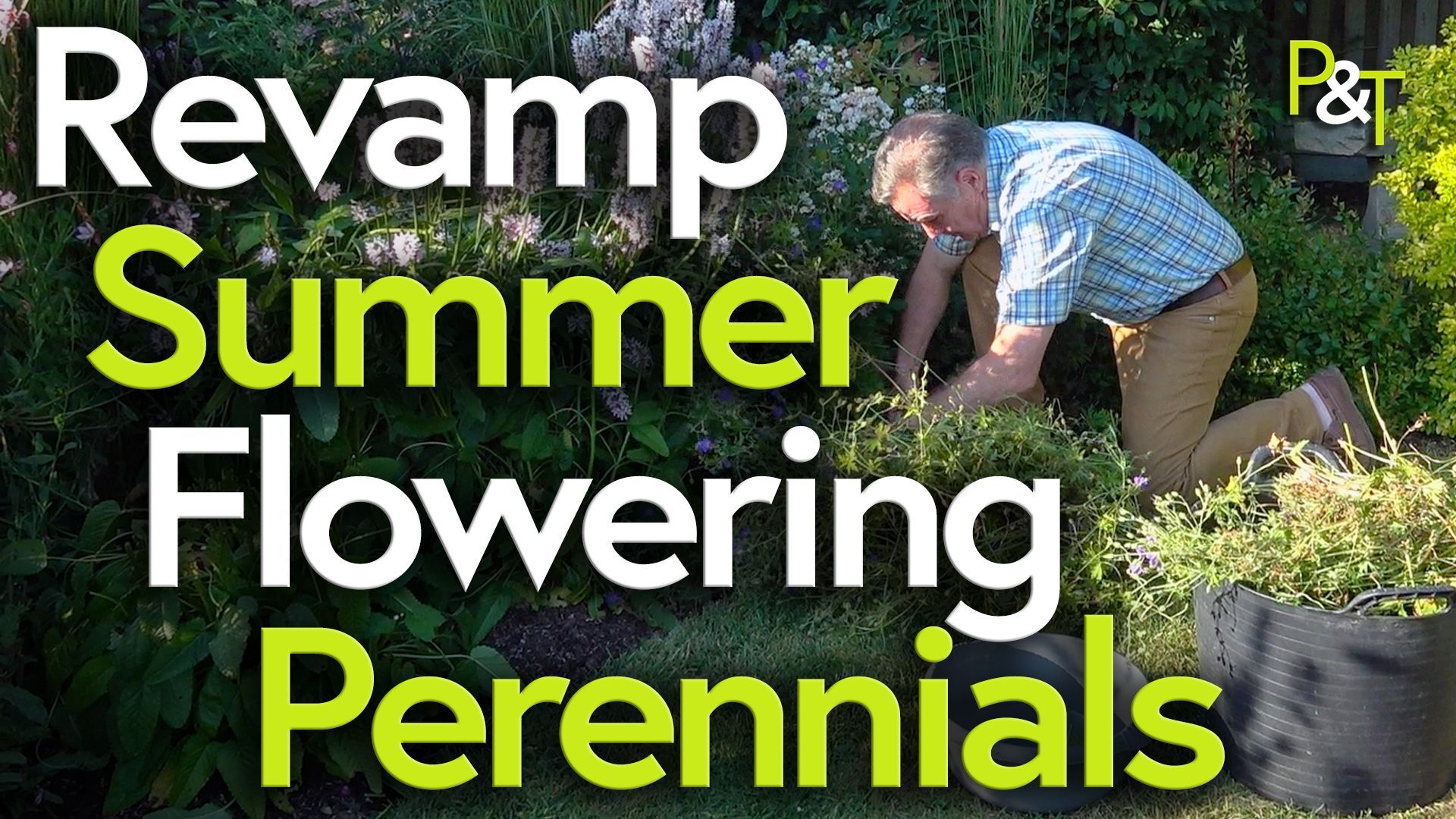 Martin Fish, gardener, is crouched over a shrub in a border. He is on the right of frame wearing a blue and white check shirt and light brown trousers. He's on one knee and looks to be pruning the shrub with some secateurs. the lot of frame is dark green, deep in the border of a garden. The text Revamp Summer Flowering Perennials is in green and white large letters over this dark area of the frame.