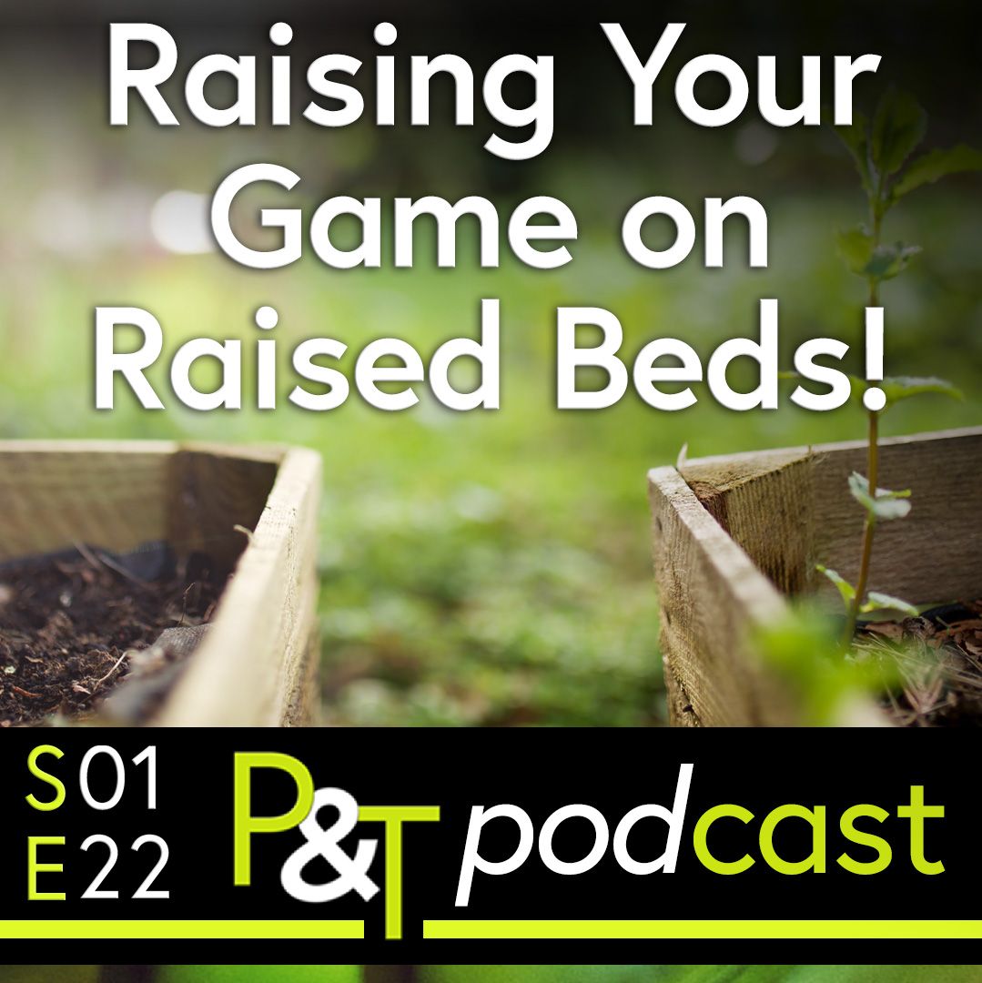 Close up of two raised beds with blurred lawn behind. The text Raising your Game on Raised Beds and the details of the podcast episode and PT logo are all in green and white