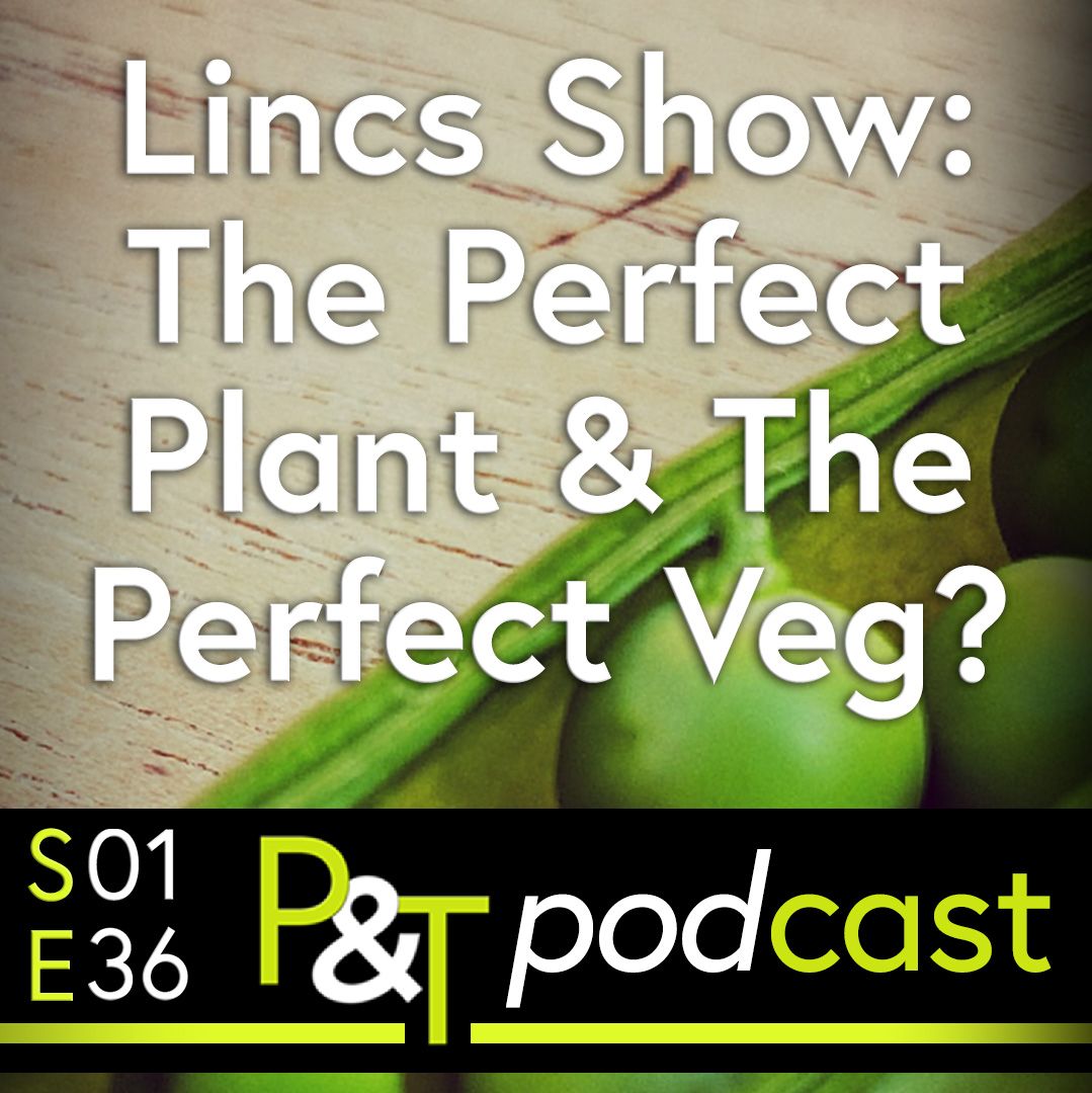 closeup of a pea pod background with the text Lincs Show The Perfect Plant and the Perfect Veg? and the episode and PT logo in green and white.