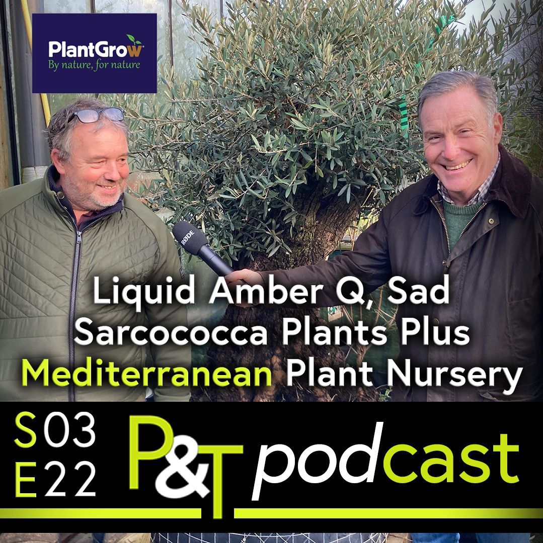 Martin Fish on the right of frame, and Andrew from Tower Nurseries on the left of frame. Martin is holding a stick microphone and pointing it towards Andrew. Between them is a mediterranean plant. At the bottom of the image is the PT logo and episode details in green and white on a black background. 