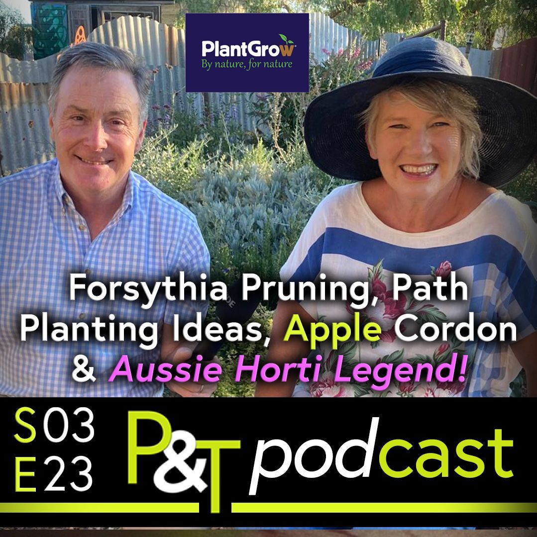 Martin Fish and Sophie Thompson left to right. Martin is wearing a blue shirt, Sophie is in a blue and white striped top and a large brimmed hat. there's a garden behind and between them. towards the bottom of the image are the words Forsythia Pruning, Path planting ideas, Apple Cordon Q and Aussie Horti Legend in pink and white text and below that there's the PT logo and episode details in green and white on a black background.