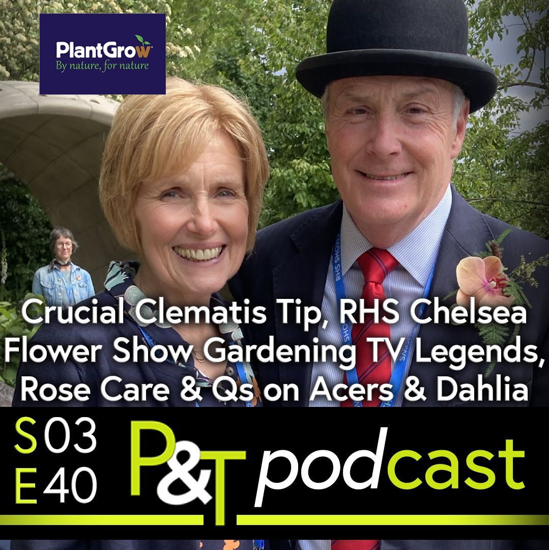 Jill and Martin Fish, Jill on the left and Martin on the right. Martin is wearing a bowler hat and suit and tie. They are at Chelsea for the Flower show - behind is a formal garden we can't quite see. The text Crucial Clematis Tip, RHS Chelsea Flower Show Gardening TV Legends, Rose Care and Qs on Acers and Dahlias is in white over the bottom third along with the PT logo and episode details in green and white.