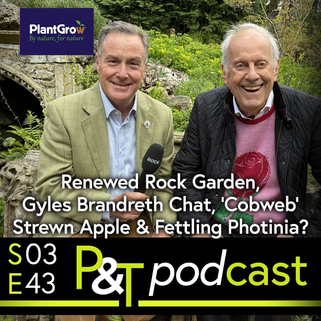 Martin Fish on the left and Gyles Brandreth on the right in front of the rock garden at Newby Hall. Behind them is a rising slope with some rock but mostly green with some yellow flowers. to the left over Martins shoulder is an archway. The text Renewed Rock Garden, Gyles Brandreth Chat, Cobweb Strewn Apple and Fettling Photinia is written in white text at the bottom and just below is the PT logo and episode details in green and white on a black background.