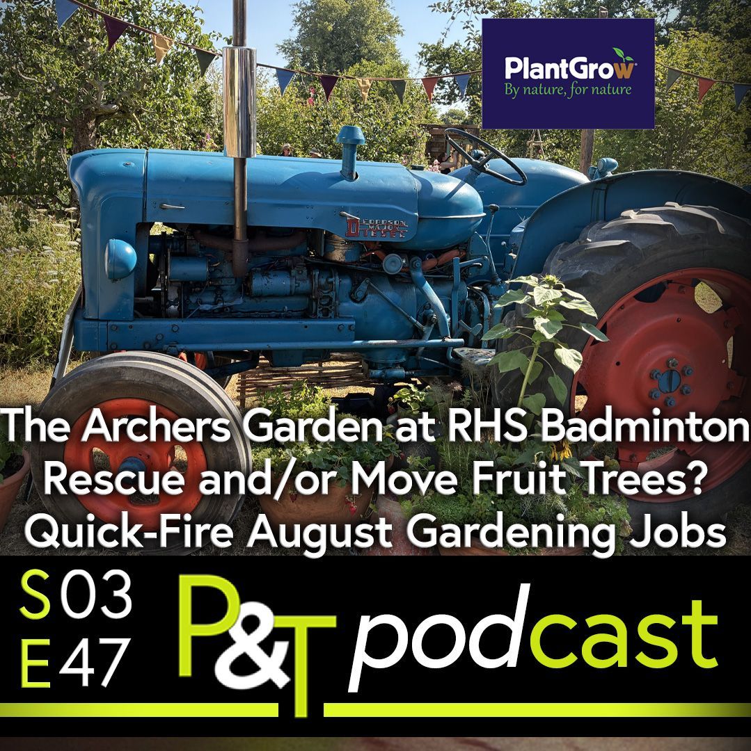 a blue tractor fills the frame. it has red wheels with black tyres on. There's greenery in the background. The text The Archers Garden at RHS Badminton Rescue and or move fruit trees Quick fire August gardening jobs in white at the bottom of the  image but below that in green and white text on a black background is the Pots and Trowels Logo and episode details.