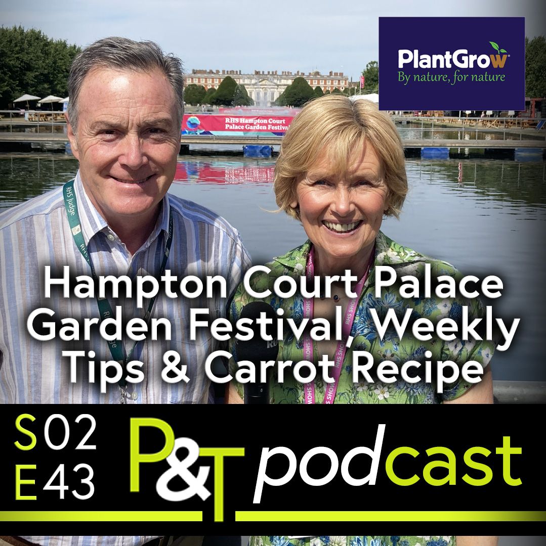 Martin and Jill Fish stand with Hampton Court Palace in the background. The text Hampton Court Palace Garden Festival, Weekly Tips & Carrot Recipe in white and the PT logo and episode details in green and white. 
