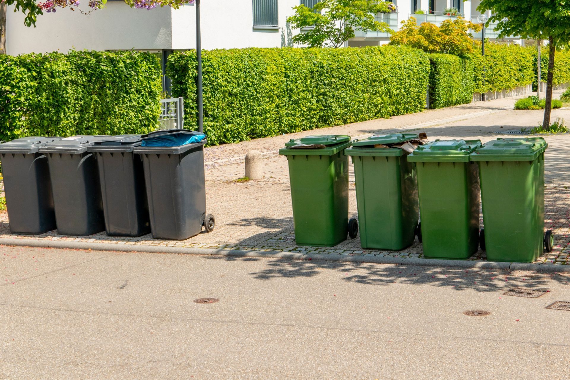Texas Street with Bins