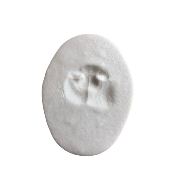 Clay Nose Print