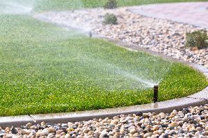 Lawn Sprikle | Cincinnati, OH | Nature Plus Lawn & Irrigation Lawn Sprikle