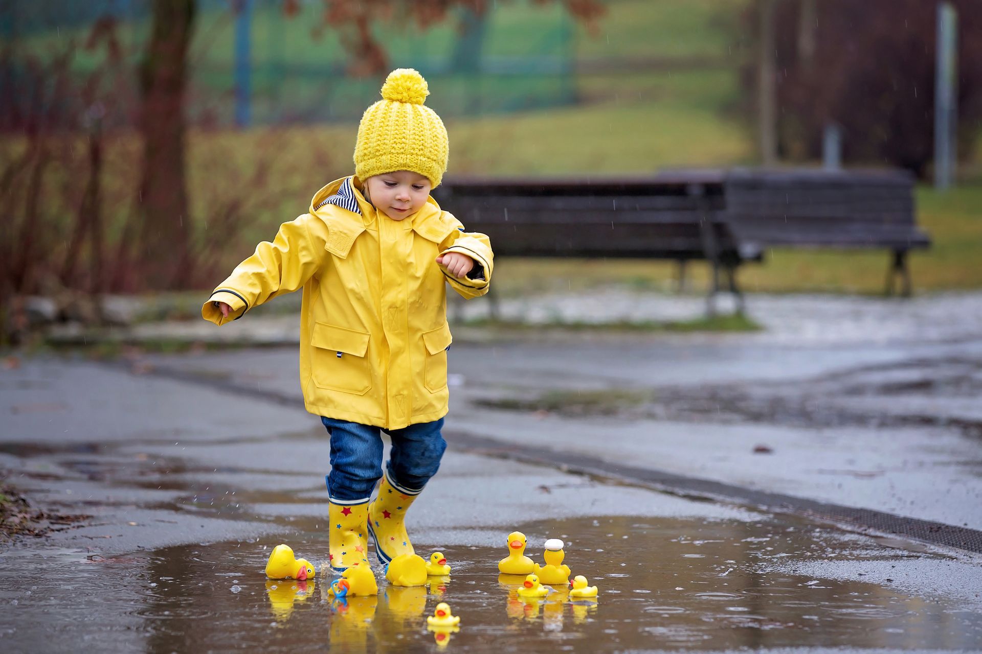 A little boy in a yellow raincoat is playing in a puddle with rubber ducks.
