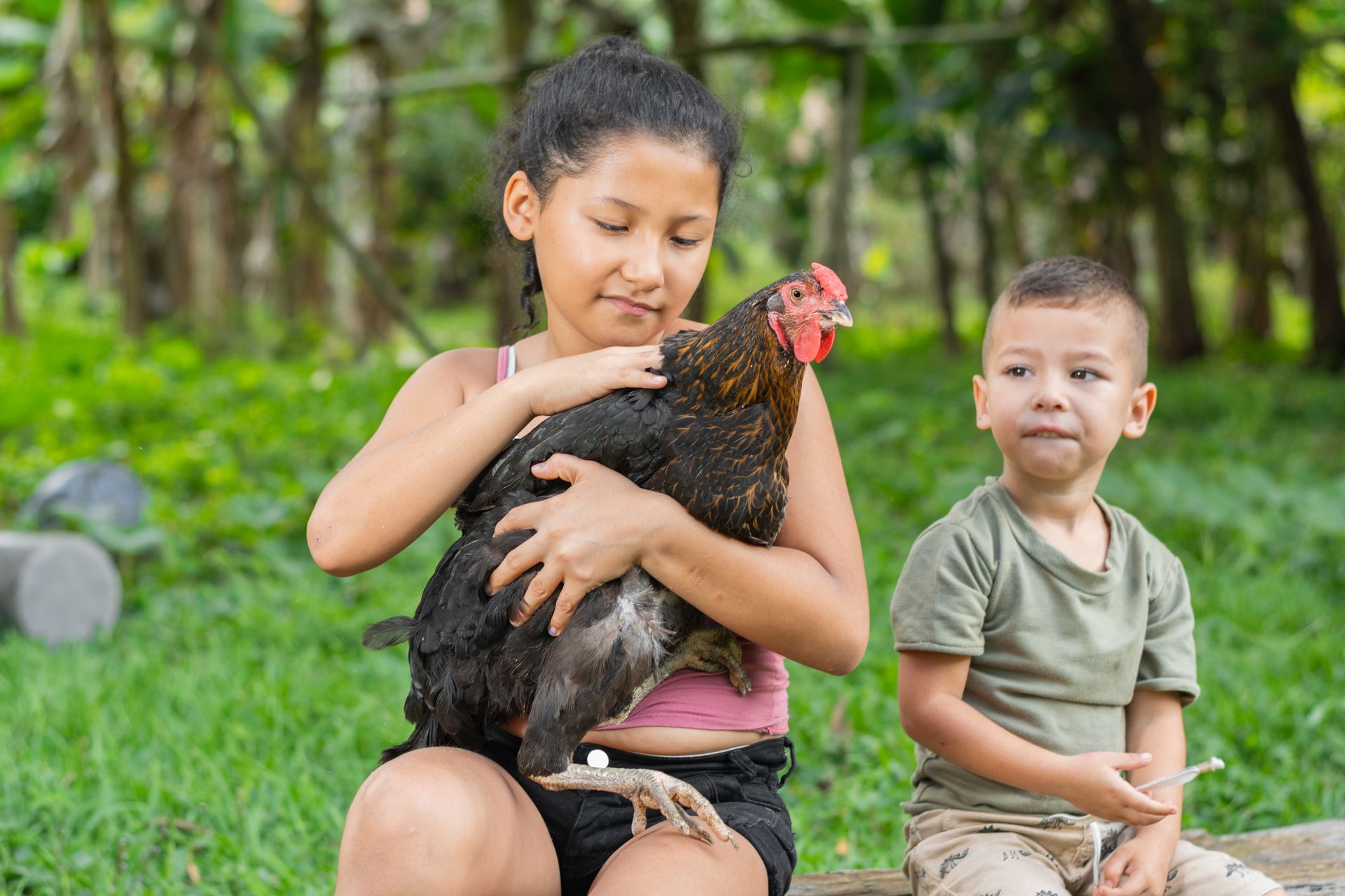 A girl is holding a chicken while a boy looks on.