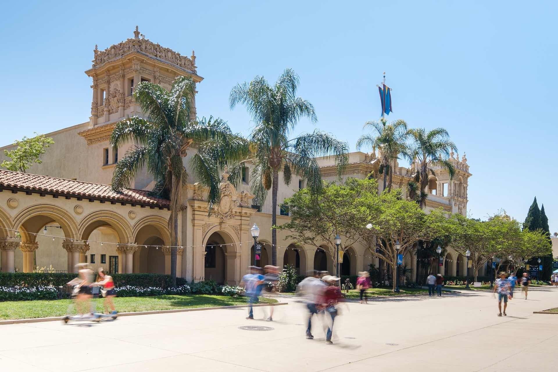 Building with sunny background and palm trees adjacent