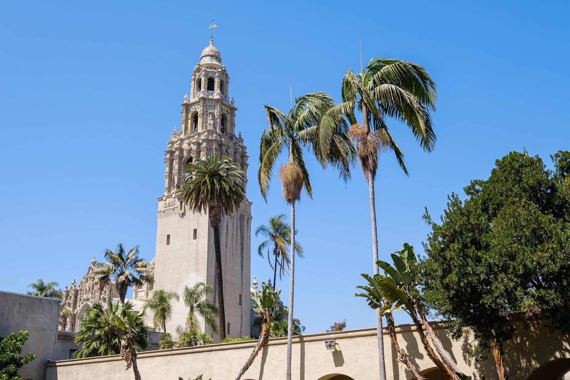 Downtown building with palm trees