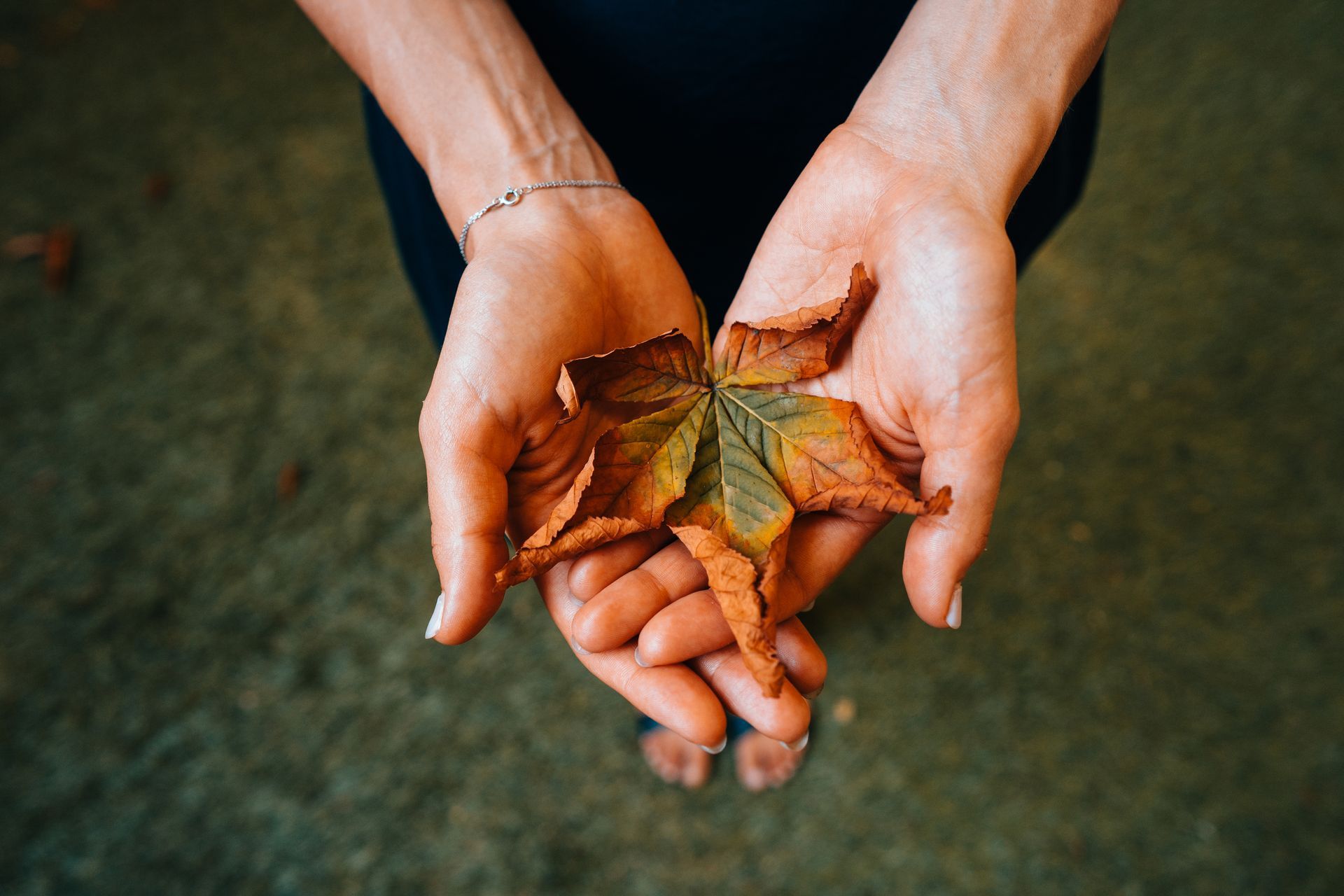 Hands holding autumn leaves, symbolizing emotional grounding in Oakland and Bay Area online therapy.