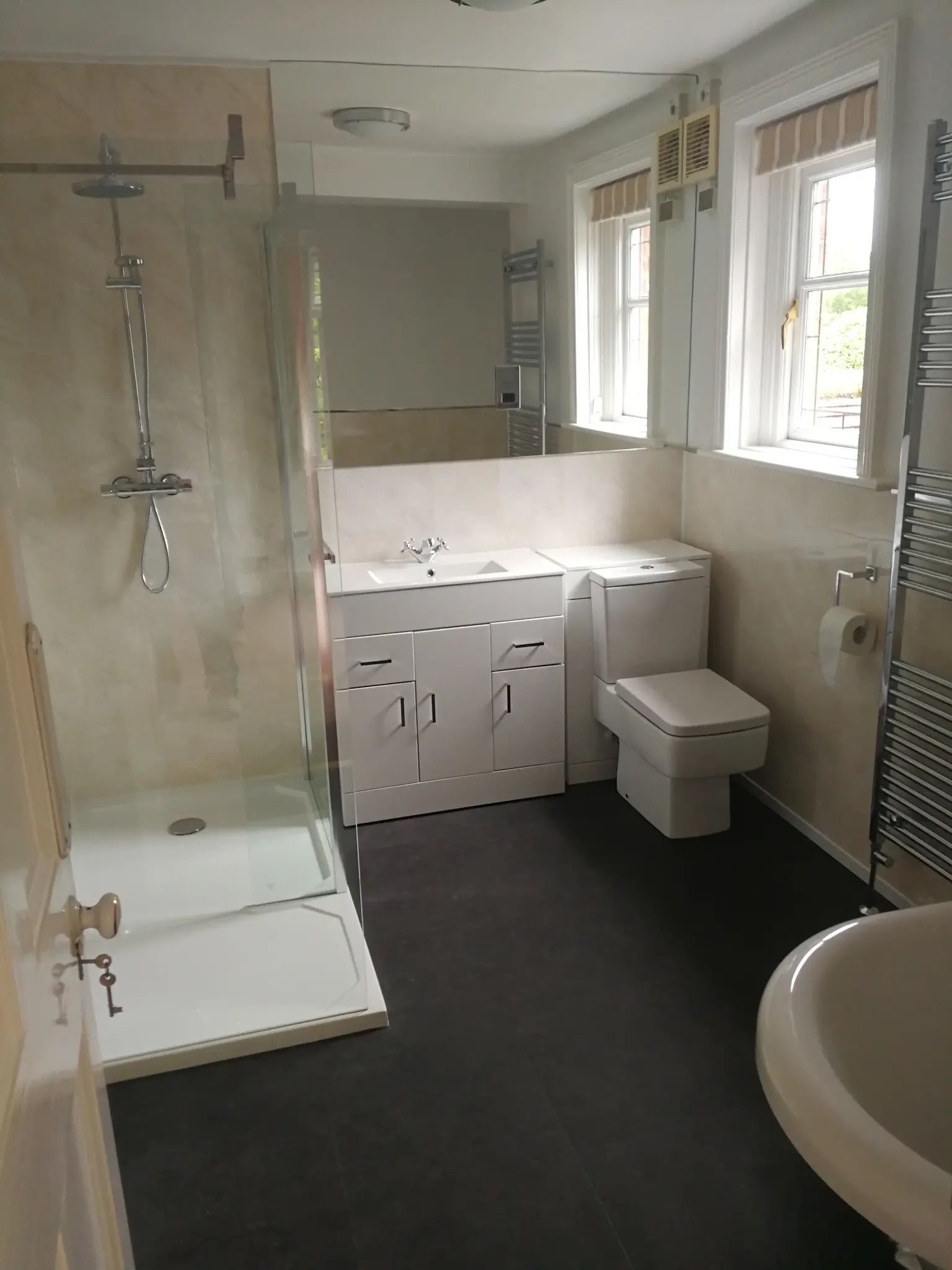 level access mobility friendly bathroom