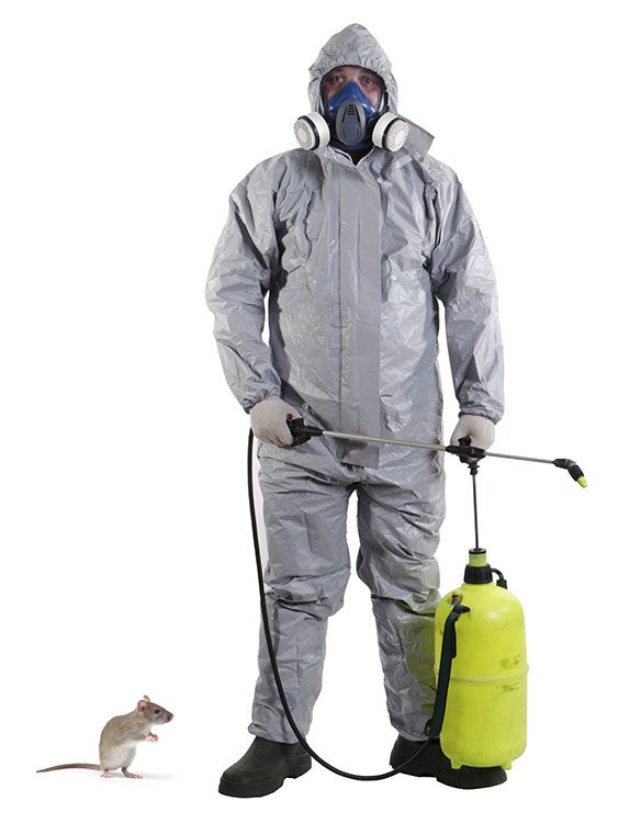 FUMIGACIONES SANDOVAL