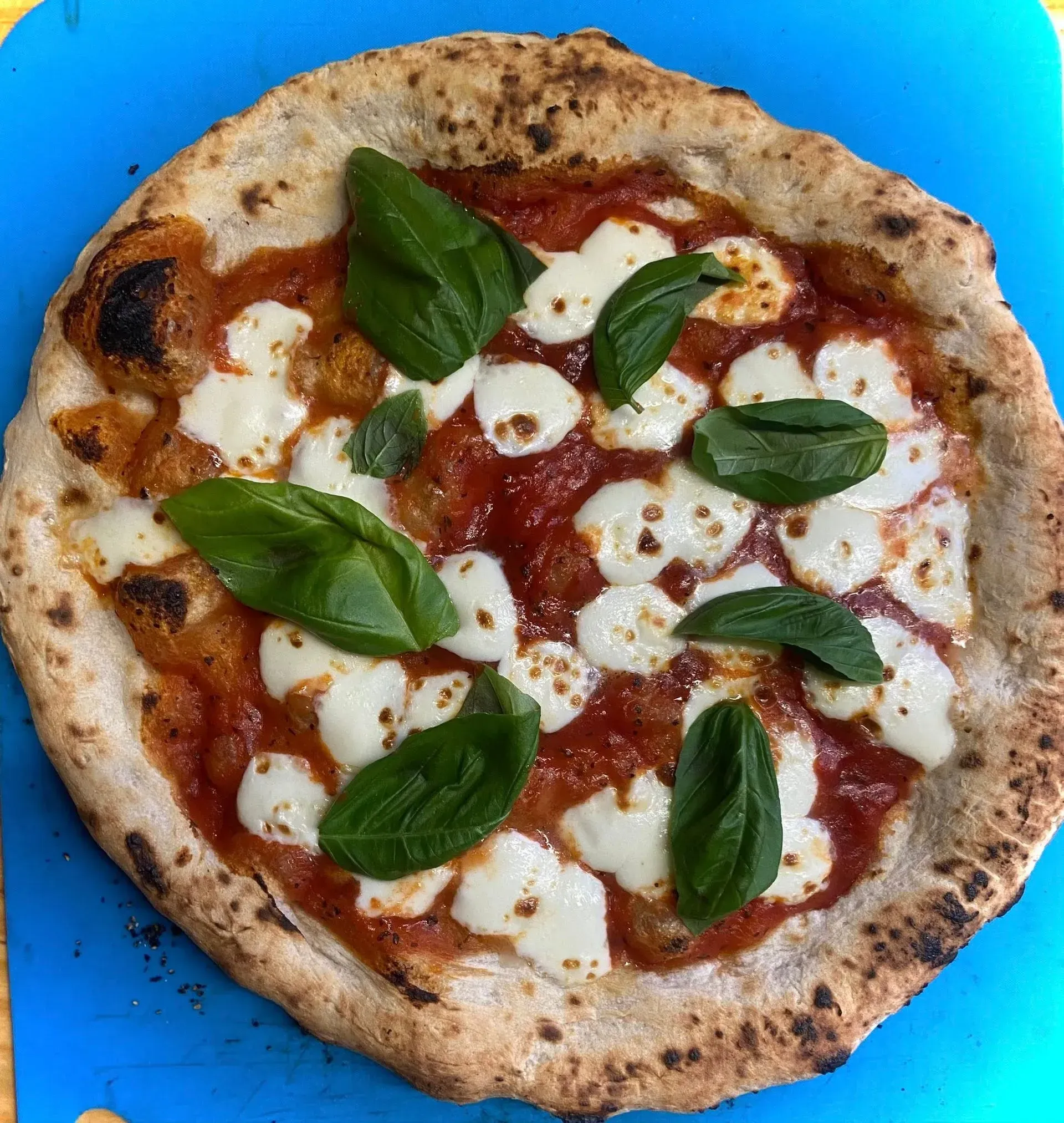 Margherita pizza with basil leaves and melted mozzarella on a bright blue plate