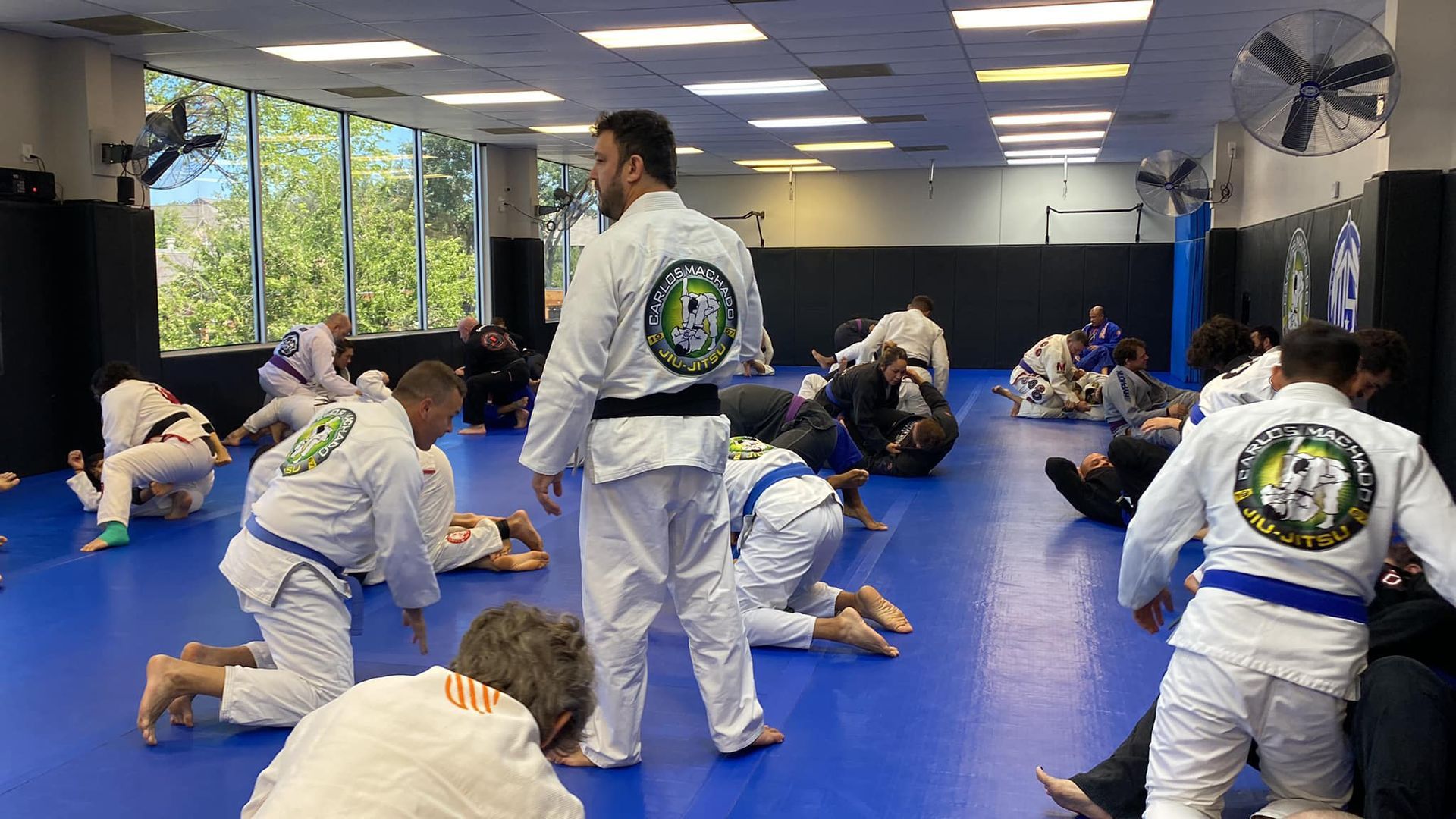 adult martial arts