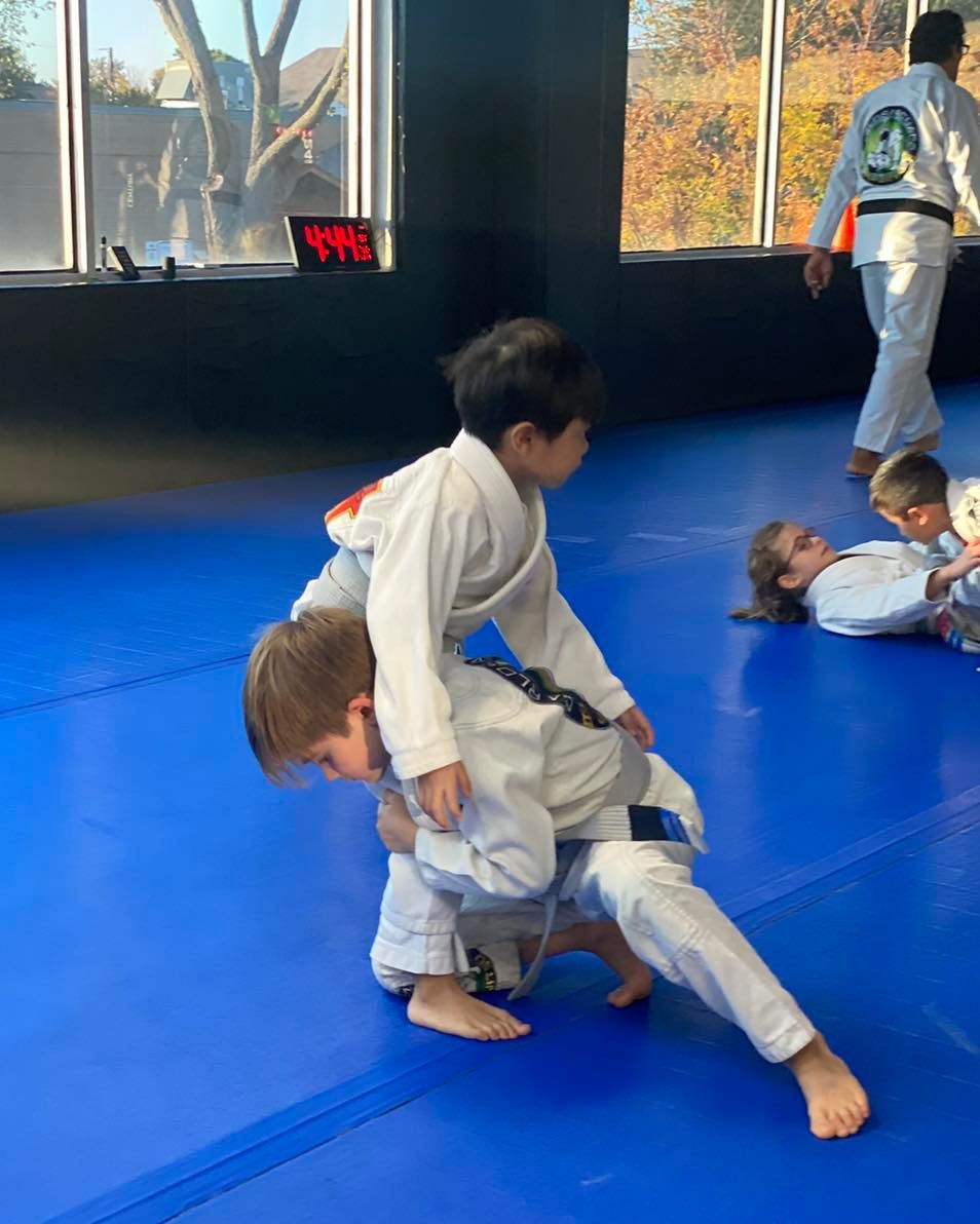 martial arts belt ranks