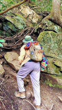 A person with a backpack is walking up a rocky path in the woods.