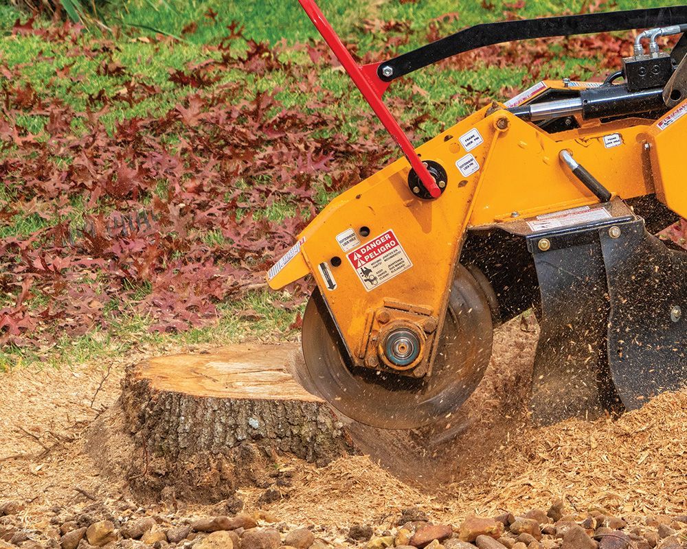 Stump Grinding — Rice Lake, WI — Becker & Sons LLC