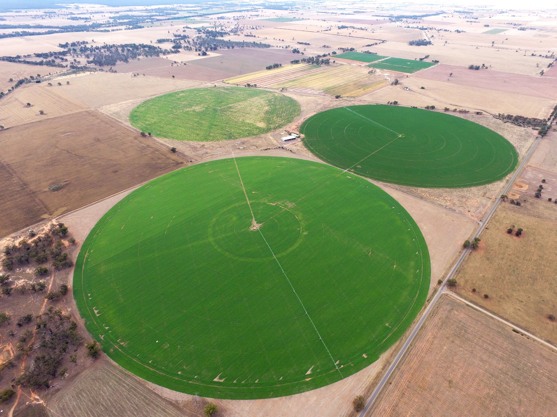 Variety of Freshest Farm Produce in Woodstock West, VIC