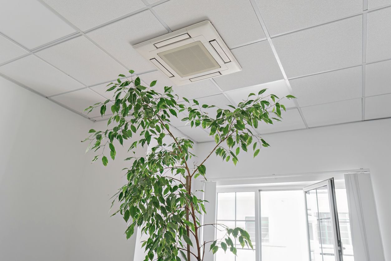 Air Ventilation